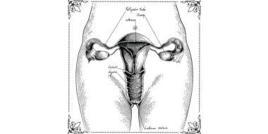 De NHG-Standaard Amenorroe adviseert niet langer het gebruik van de progesteronbelastingtest door de huisarts.