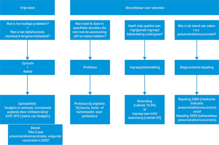 Schema asplenie noteren in HIS