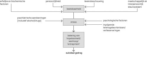 De rol van kwetsbaarheid, stress en entrapment bij suïcidaal gedrag