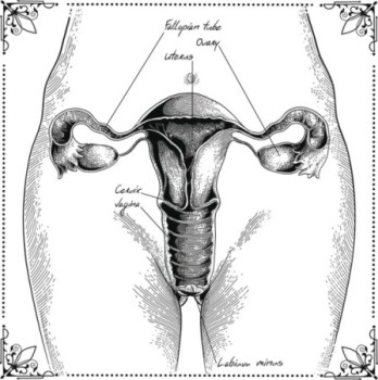 De NHG-Standaard Amenorroe adviseert niet langer het gebruik van de progesteronbelastingtest door de huisarts.