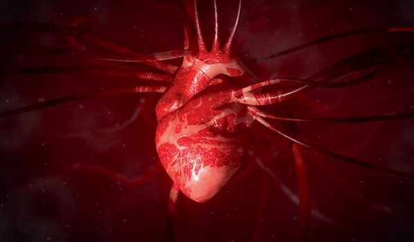 Huisartsen blijven poortwachter omdat ze patiënten met pijn op de borst zonder cardiale klachten eruit filteren.