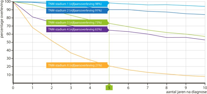 Overleving na de diagnose ‘invasief mammacarcinoom’, naar TNM-stadium