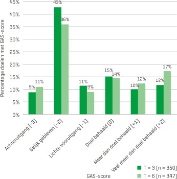 Scores van alle geëvalueerde goal attainment scales na drie en zes maanden