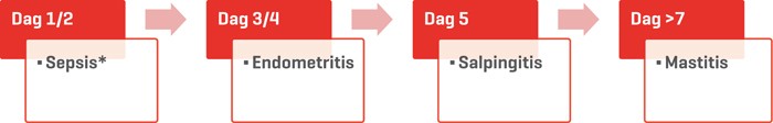 Waarschijnlijkheidsdiagnose bij koorts per dag post partum