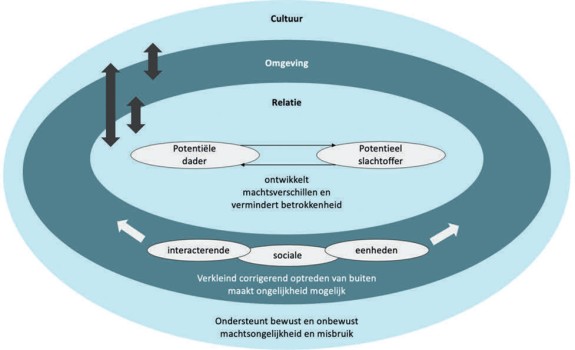 De interacties tussen dader, slachtoffer, de omgeving en de culturele achtergrond