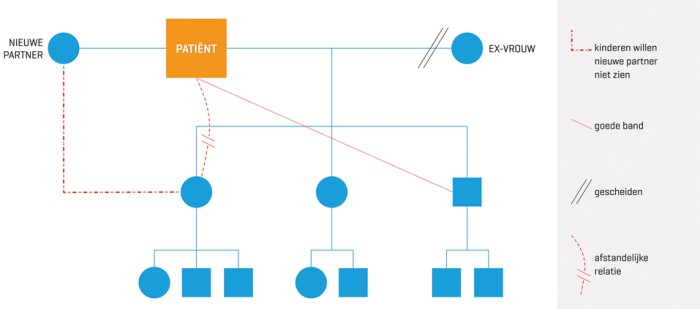 Contextueel genogram van de patiënt uit de casus