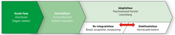 Biopsychosociaal model van de zorgfasen na hersenletsel