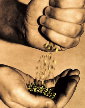 Hergebruik van HIS-gegevens