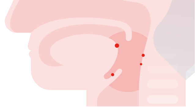 12445_2022_1535_Fig2