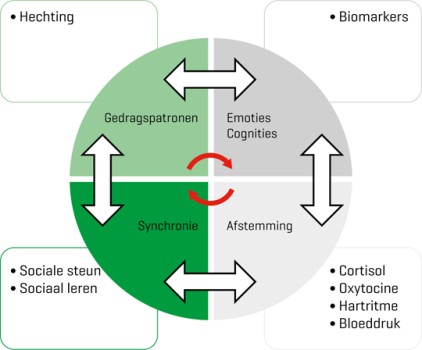 Geïntegreerd model van dierondersteunde interventies