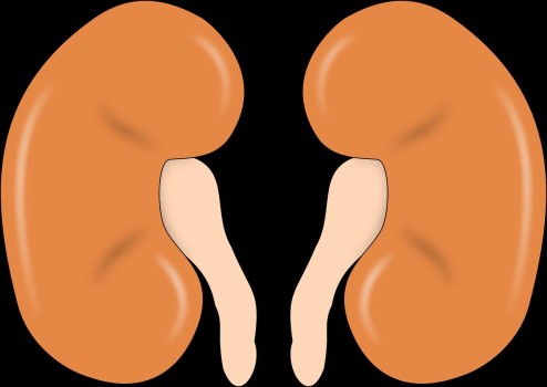 Trimethoprim en verhoogd risico op nierfalen of hyperkaliemie