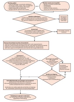 Beslisregel voor het opsporen van niet-aangeboren hersenletsel in de huisartsenpraktijk