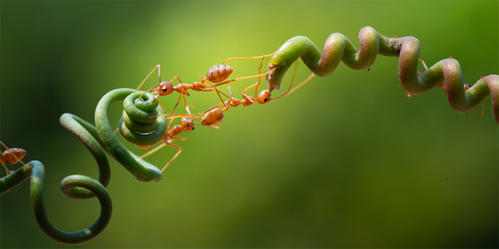 Samenwerking spoedzorg